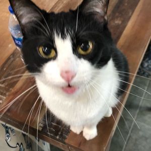 Meet your Posher, Hailey